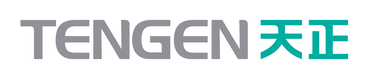 Tengen Electric logo